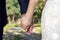 A bride and her groom hold hand