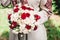 Bride hold in hand wedding bouquet of biege and red roses.