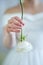 The bride holds a flower, on the stem of which are worn wedding and engagement rings. The bride in defocus in the