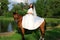 Bride horseback at horse