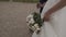 Bride in lace dress holding beautiful white wedding flowers bouquet.