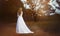 Bride in the park is a beautiful long wedding dress turned back. the photo has a fabulous finish after shooting. selective focus