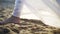 Bride running on sandy beach