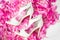 Bride`s shoes. White bride`s shoes on the petals of peonies. Wedding photo concept.