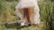 Bride shows a colourful tattoo on her leg. She lifts her dress and starts walking in a wheat field.
