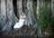 Bride sitting under tree