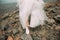 Bride style dress sneakers beach wet stones