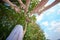 Bride throws the wedding bouquet for young women