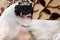 Bride in veil with crown. A young bride covered her face with a