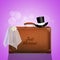 Bride veil and groom hat on suitcase