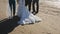 Bride walk with friends on the beach