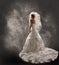 Bride in Wedding Dress with Veil, Fashion Bridal Beauty Portrait