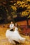 Bride whirls on a pass in a park covered with carpet of golden l