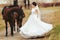 Bride whirls standing behind the brown horses