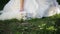 Bride in white dress gently caress samoyed puppy who lies near her legs