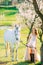 Bride in white dress walks near horse and leads it by reins in spring blooming garden