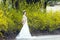 A bride with white wedding dress stand by Golden jasmine flowers
