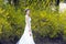 A bride with white wedding dress stand by Golden jasmine flowers