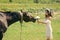 Bride woman give flower bouquet to horse