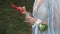 A bridesmaid with a boutonniere on her hand looks at photos on her smartphone. Close up