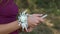 A bridesmaid with a boutonniere on her hand looks at photos on her smartphone. Close up