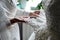 Bridesmaid holding bride`s wedding dress