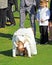 Bridesmaid performing acrobatic stunts at wedding reception