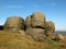 the bridestones a large group of gritstone rock formations in west yorkshire landscape near todmorden