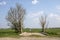 Bridge, access made from concrete tiles to a meadow between two old trees in an agricultural landscape in Holland and a faraway