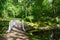 Bridge across pond in Botanical Park, Palanga, Lithuania