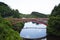 Bridge across river in green rainforest area in Japan in summer.