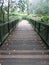 Bridge across the river in park, perspective view