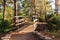 The bridge across the stream in the early morning in the park in the forest Hanita, Israel