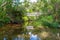 Bridge across  stream Sky and tree reflected beautifully on Kaitoke Hot