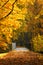 Bridge along the Snoqualmie Valley Trail with fall colors