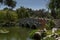 Bridge in Chinese botanical garden