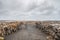 Bridge between continents in Iceland black sand in canyon during stormy weather