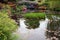 Bridge covered with wisteria at water garden of Monet in Giverny