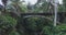 Bridge in a dense jungle