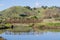 Bridge in Don Edwards wildlife refuge, view towards Coyote Hills Regional Park, Fremont, San Francisco bay area, California