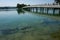 Bridge with fish in lake in japanese park in Fukuoka