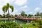 Bridge with flowers across the bay in a tropical garden