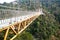 bridge in the forest