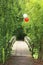 Bridge in the forest decorated with balloons for celebrations, weddings and Mothers Day