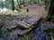 Bridge in the Forest, Germany