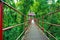 The bridge forest nature park green in Thailand animal outdoors