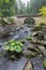 Bridge gate Zemska brana, river Divoka Orlice, Czech republic Eagle mountains Orlicke hory during summer time.