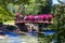 Bridge With Hanging Flowers On Truckee River In Reno, Nevada