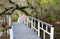 Bridge and Hanging Moss at Charleston SC Magnolia Gardens Spring