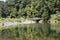 Bridge inside the forest that is reflected in the lake